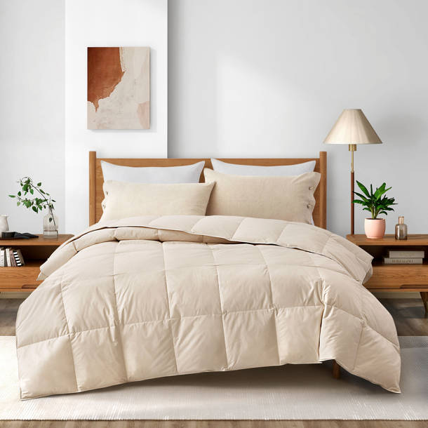 White Noise 100 Cotton Comforter Wayfair